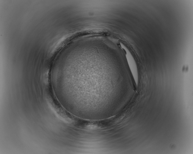 X0000112920596200909080936