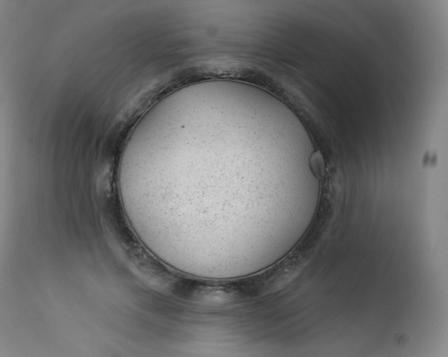 X0000112920597200909080936