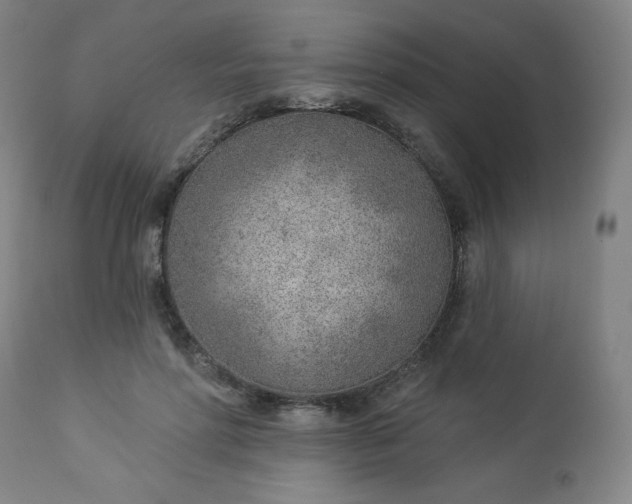 X0000112920598200909080935