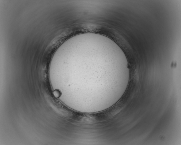 X0000112920599200909080935