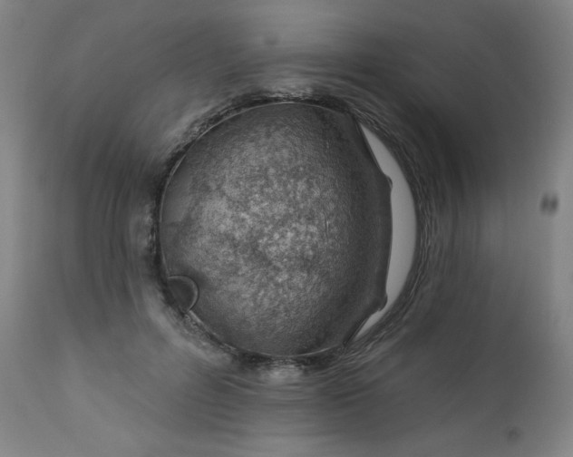 X0000112920600200909080935