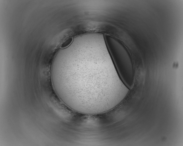 X0000112920601200909080935