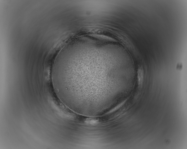 X0000112920602200909080935