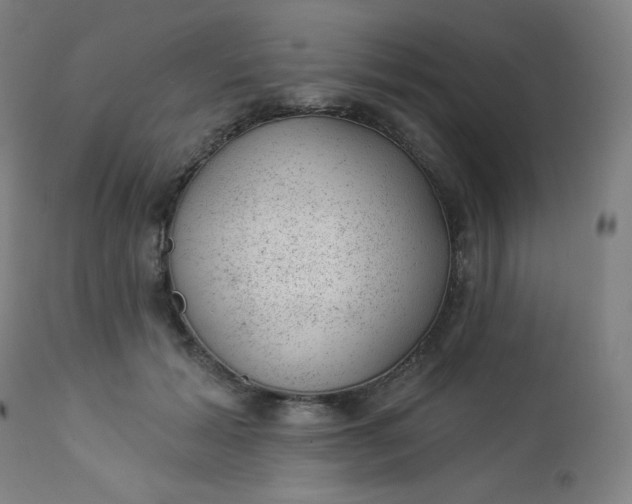X0000112920605200909080935