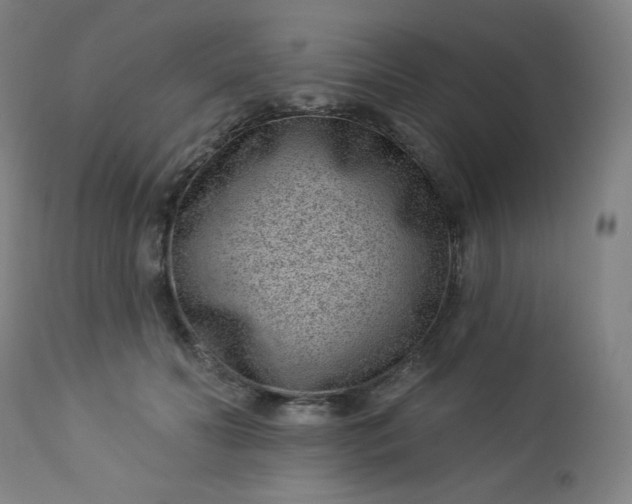 X0000112920606200909080935