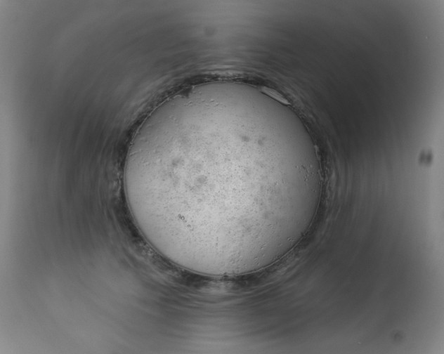 X0000112920609200909080935