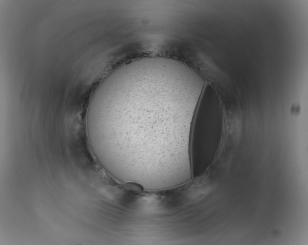 X0000112920611200909080935