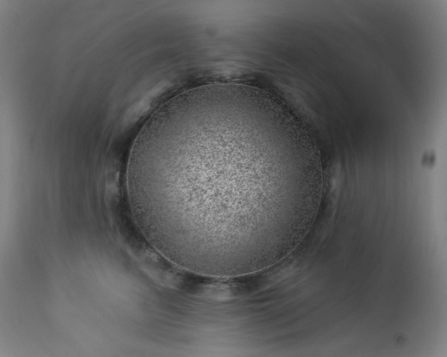 X0000112920615200909080935
