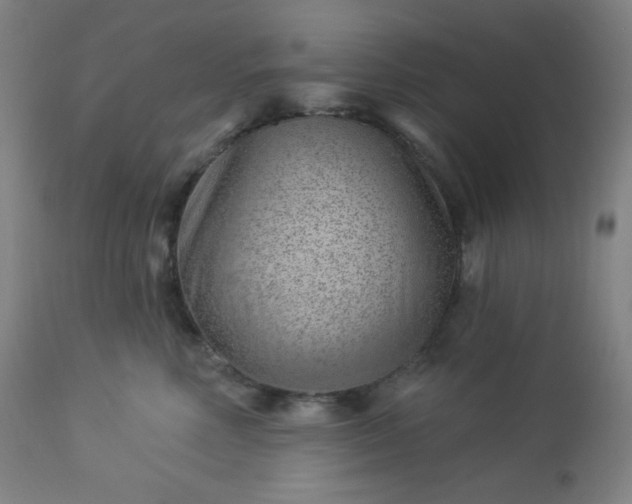 X0000112920618200909080935