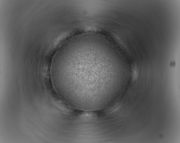 X0000112920619200909080935