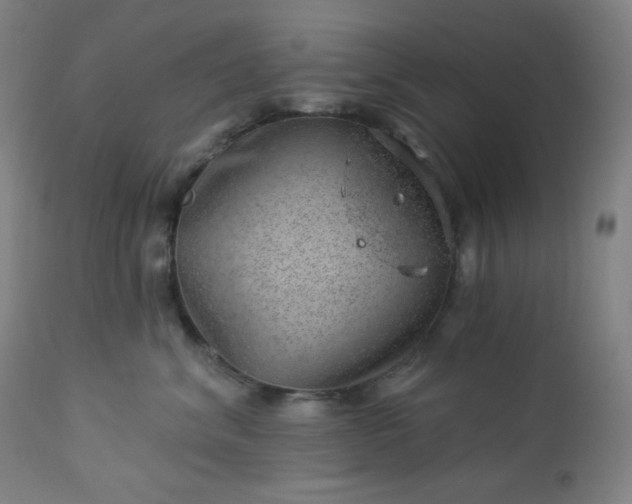 X0000112920620200909080935