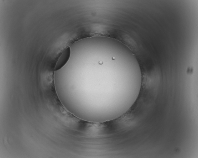 X0000112920621200909080935