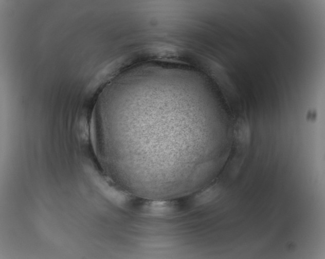 X0000112920622200909080935