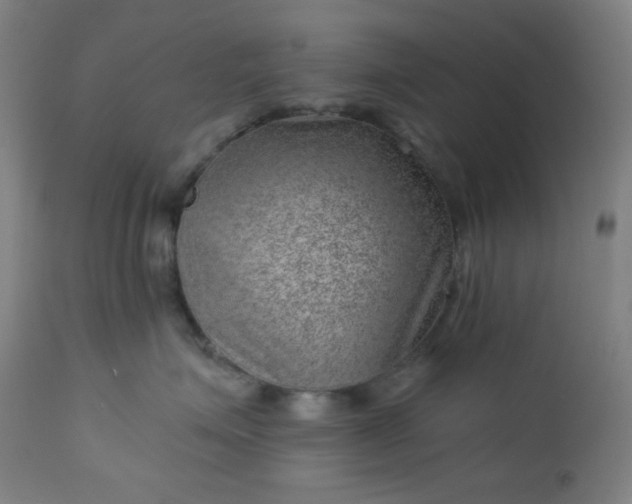 X0000112920623200909080935