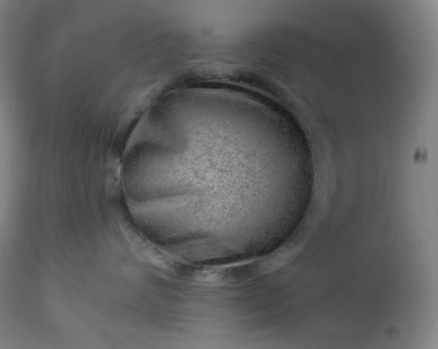 X0000112920624200909080935