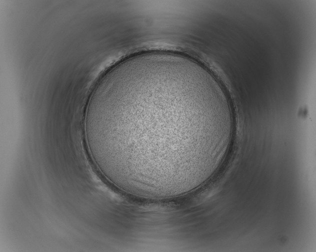 X0000112920625200909080934