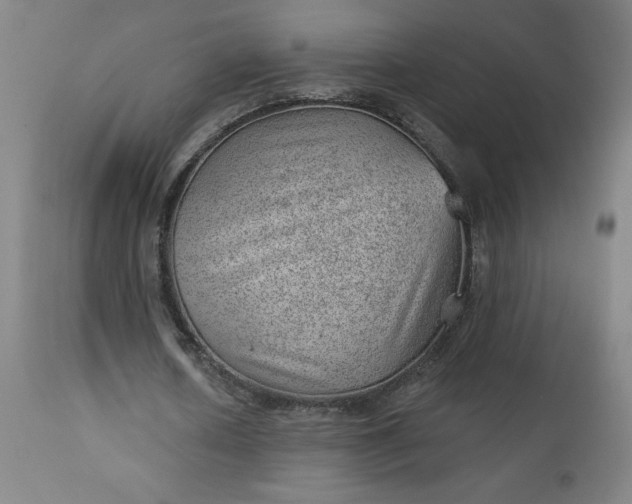 X0000112920626200909080934