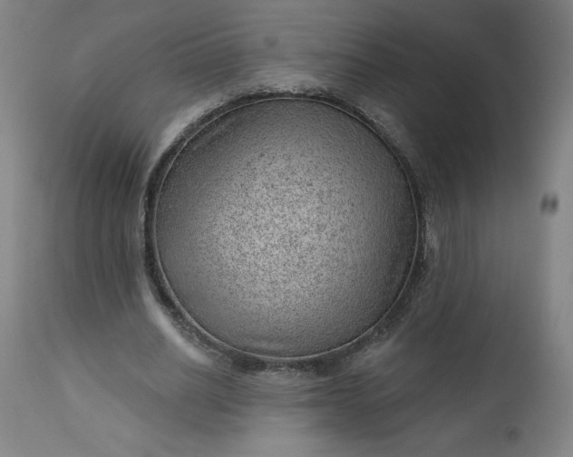 X0000112920630200909080935