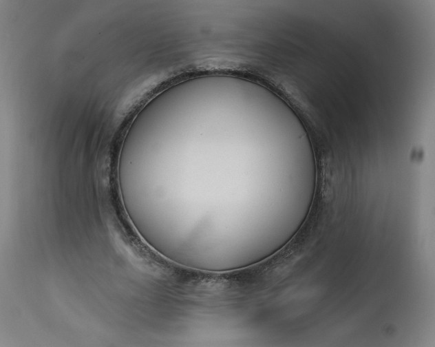 X0000112920631200909080935