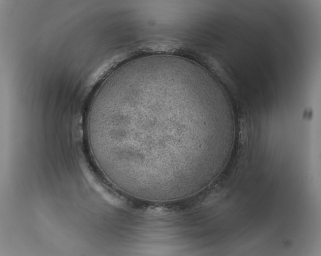X0000112920634200909080935