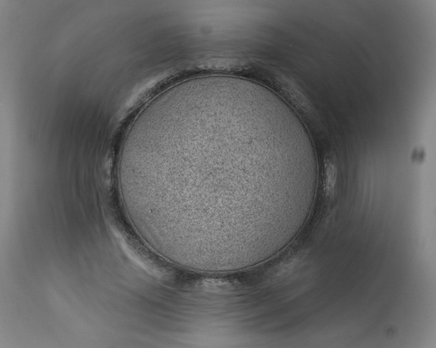 X0000112920636200909080935