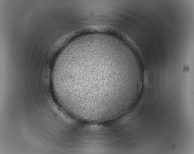 X0000112920637200909080935