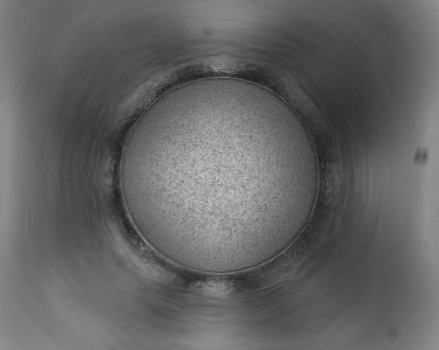 X0000112920639200909080935