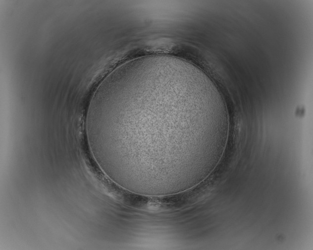 X0000112920641200909080935
