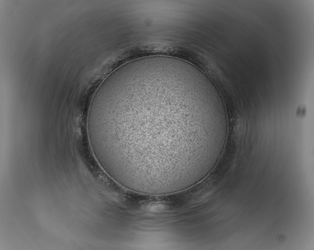 X0000112920643200909080935