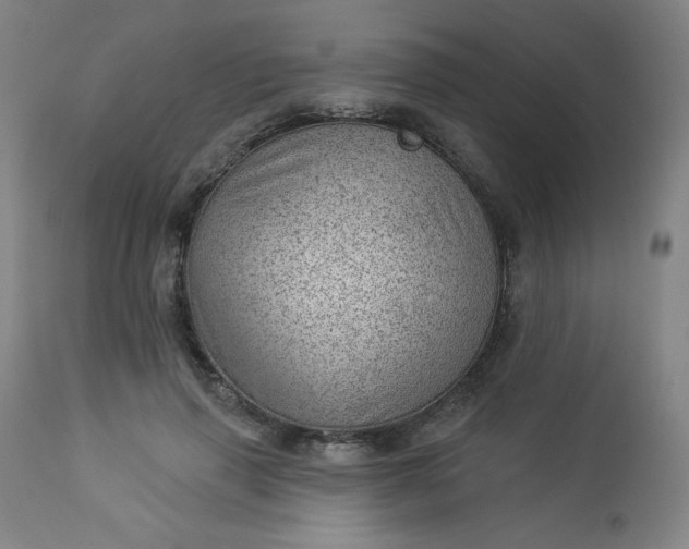 X0000112920645200909080935