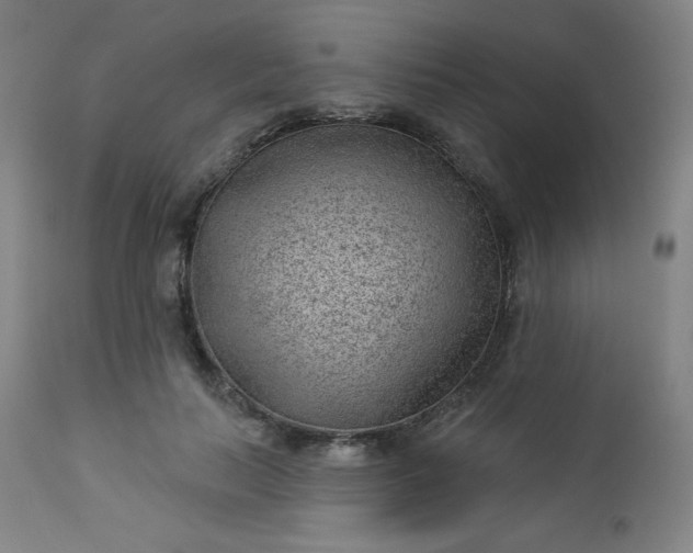 X0000112920647200909080935
