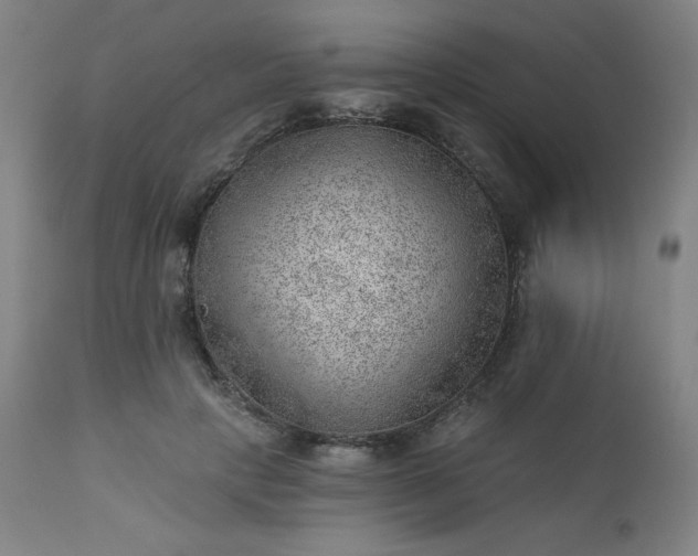X0000112920649200909080935
