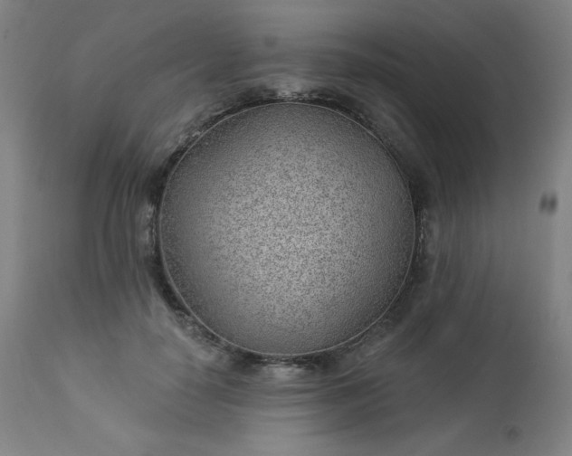 X0000112920650200909080935