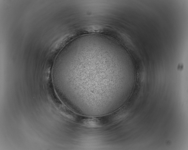 X0000112920652200909080935