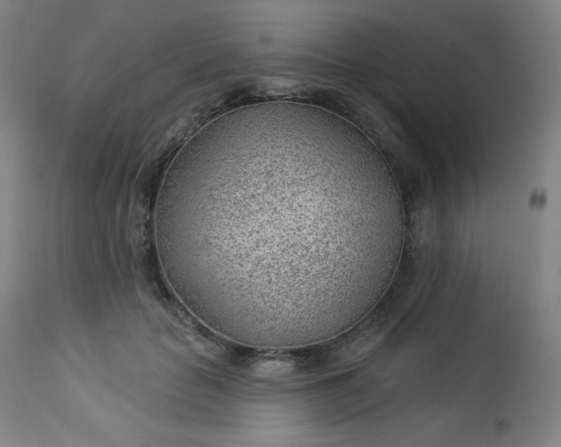 X0000112920653200909080935