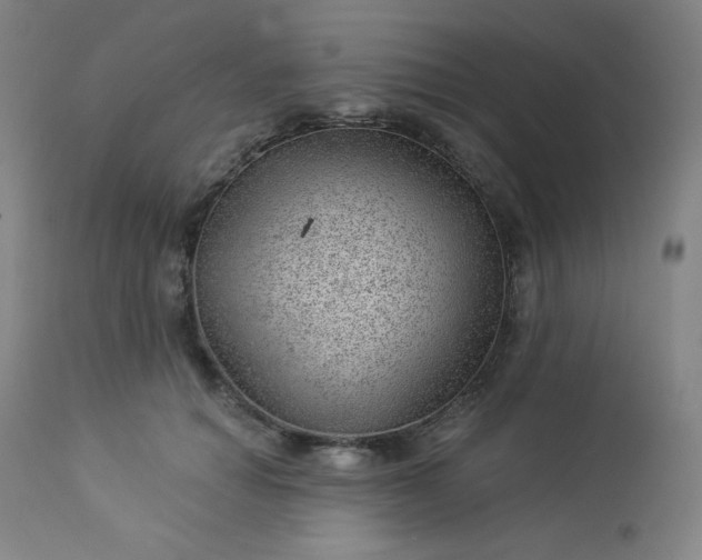 X0000112920654200909080935
