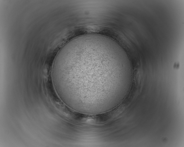 X0000112920655200909080935
