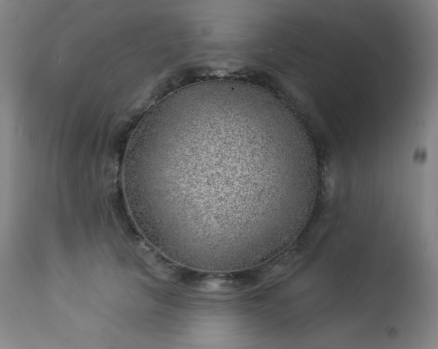 X0000112920657200909080935