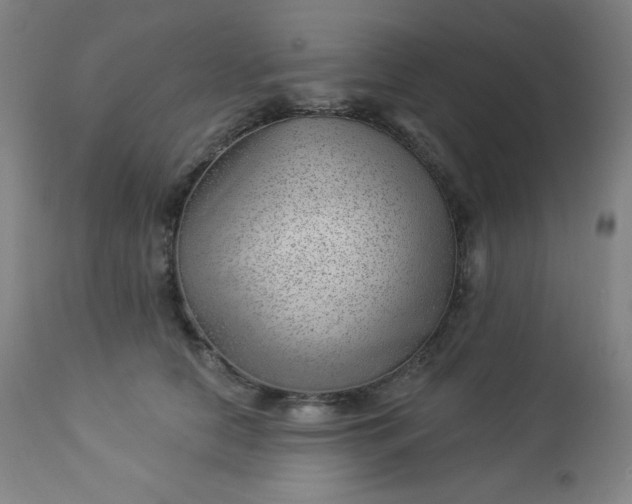 X0000112920658200909080935