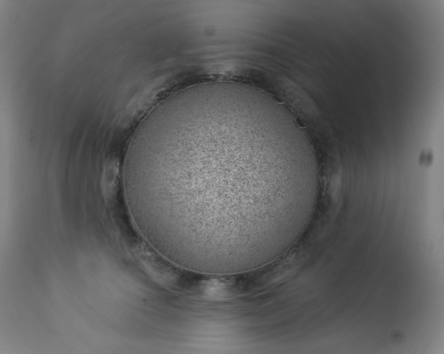 X0000112920660200909080935