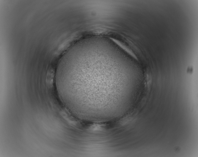 X0000112920664200909080935
