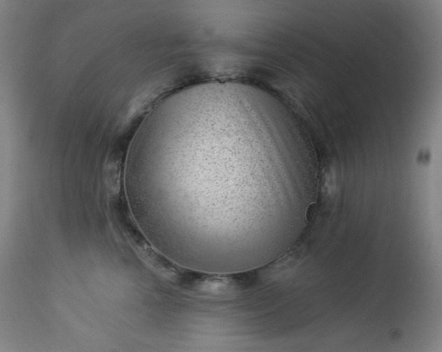 X0000112920666200909080935