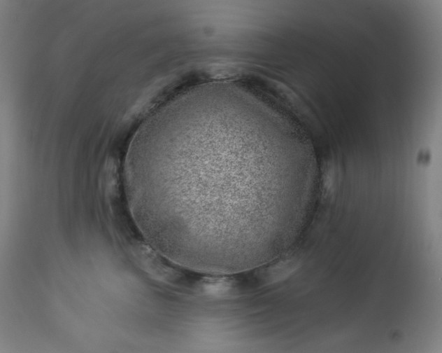 X0000112920667200909080935