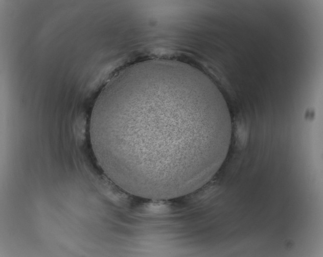 X0000112920668200909080935