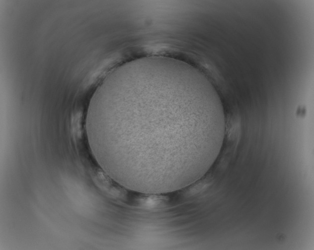 X0000112920670200909080935