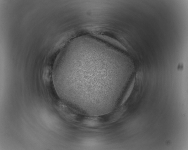 X0000112920671200909080935
