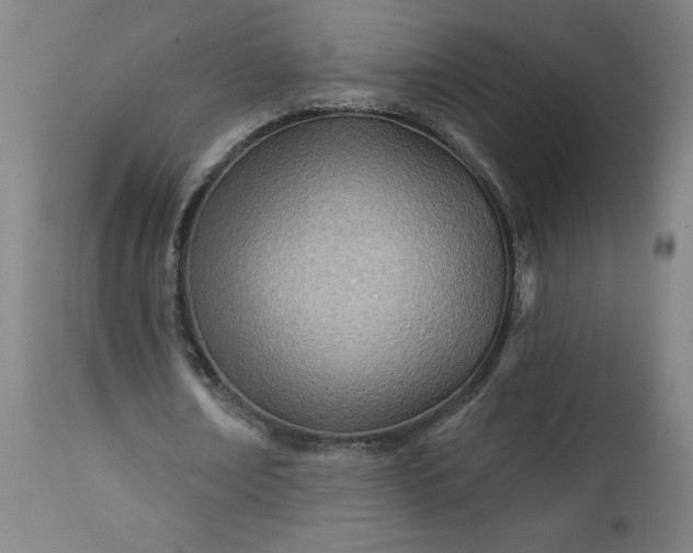 X0000112920674200909080934