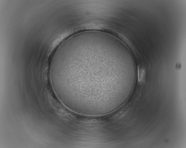 X0000112920675200909080934
