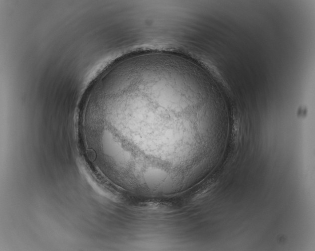 X0000112920678200909080934