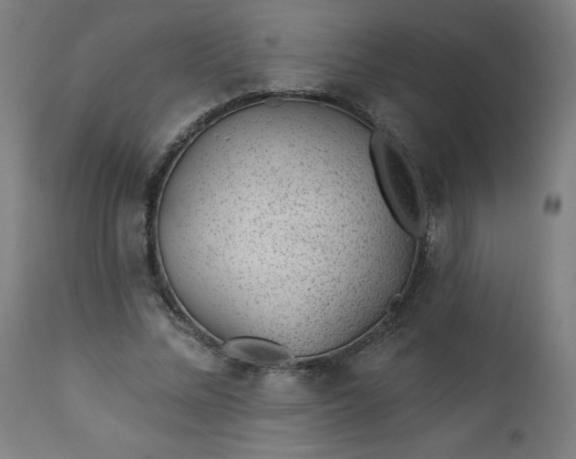 X0000112920684200909080934